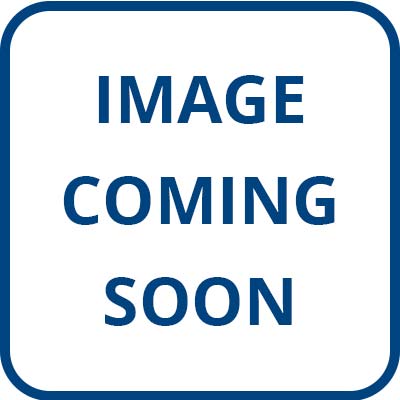 1307 Camping Bear Poster