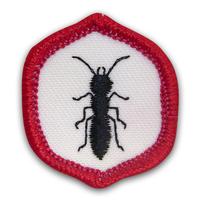 Emb Exp Insect Wrld Pk 25 (Item #CPBGEINSE)