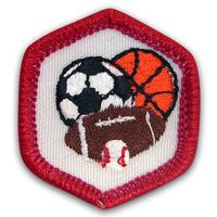 Emb Exp Team Sports Pk 25 (Item #CPBGETEAM)