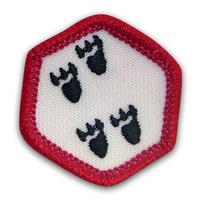 Emb Exp Tracking Pk 25 (Item #CPBGETRAC)