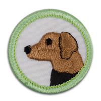 Badge Gg Creatures And Creations Pk25 (Item #CPBGGCREA)