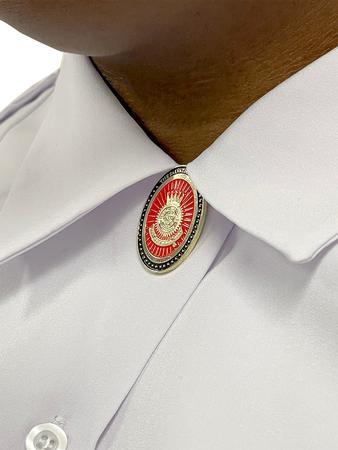 Brooch Magnetic Oval Red with Gold Crest