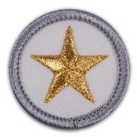 Badge Sb Achievement Pk25 (Item #CPBGSACHI)