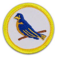 Badge Sb Bird Study Pk25 (Item #CPBGSBIRD)