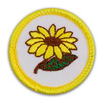 Badge Sb Flowerstudy Pk25 (Item #CPBGSFLOW)