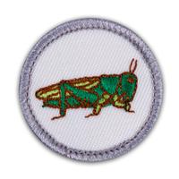Badge Sb Insect Life Pk25 (Item #CPBGSINSE)