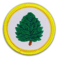 Badge Sb Tree Study Pk25 (Item #CPBGSTREE)