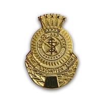 Pin Employee Recogn 10 Yr