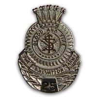 Pin Employee Recogn 25 Yr Silver