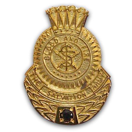 Pin Employee Recogn 35 Yr Sapphire