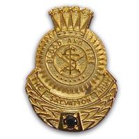 Pin Employee Recogn 35 Yr Sapphire