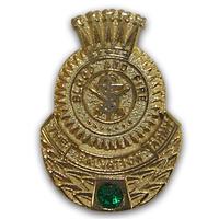 Pin Employee Recogn 45 Yr Emerald