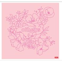 Others Scarf Pink Embroidery
