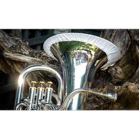 Bell Cover Tuba Lg (Item #MACOVER09)
