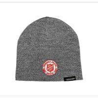 EDS Beanie Heather Gray