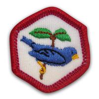 Emb Exp Bird Life Pk 25 (Item #CPBGEBIRD)