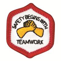 Badge Exp Community Safety Pk25 (Item #CPBGECOSA)